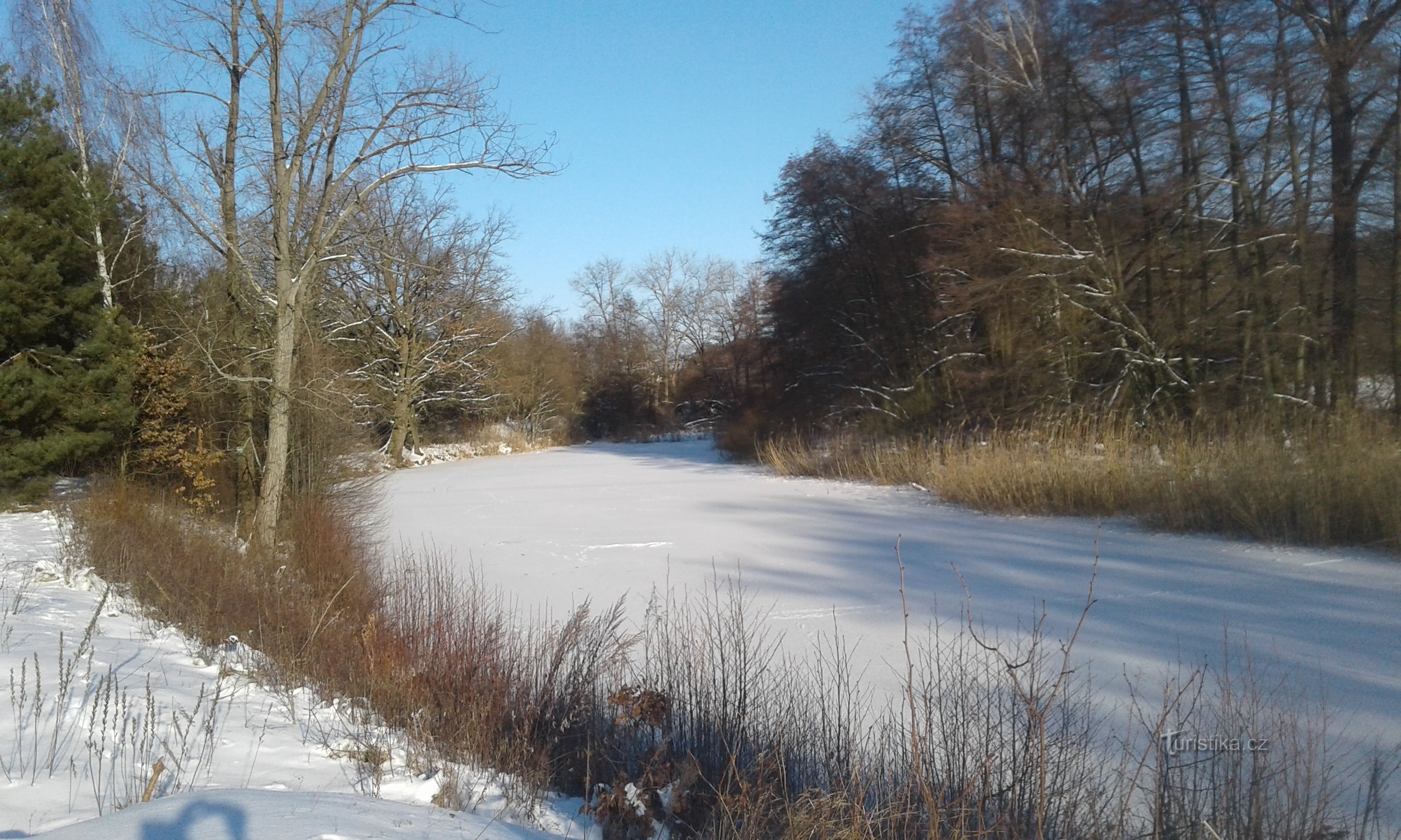 Frozen Wenceslas - februar 2021