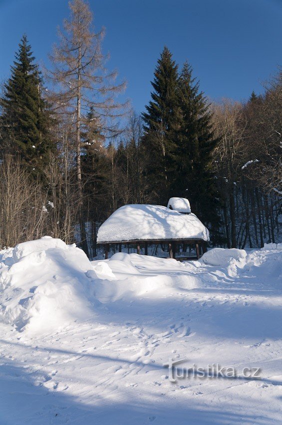 Замерзлий затонулий потік