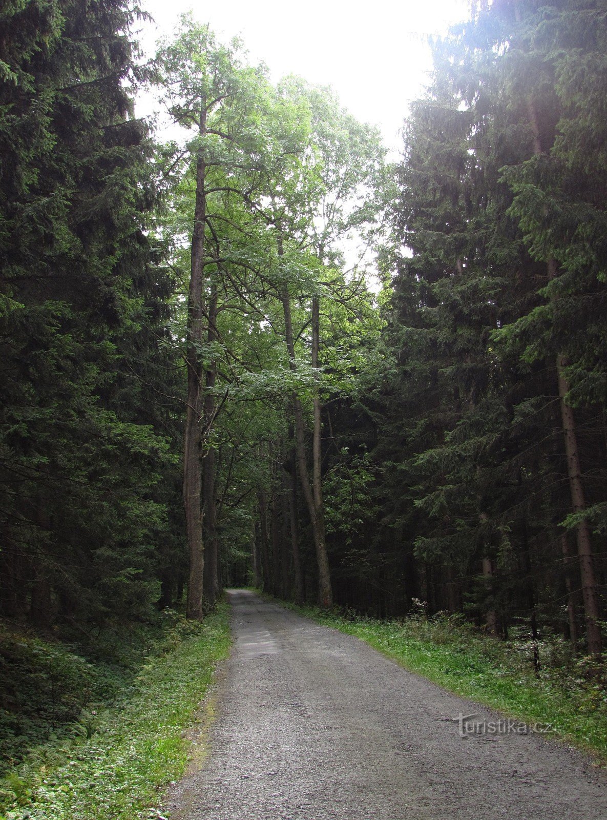 The defunct settlement of Ferdinandov near Rýmařov