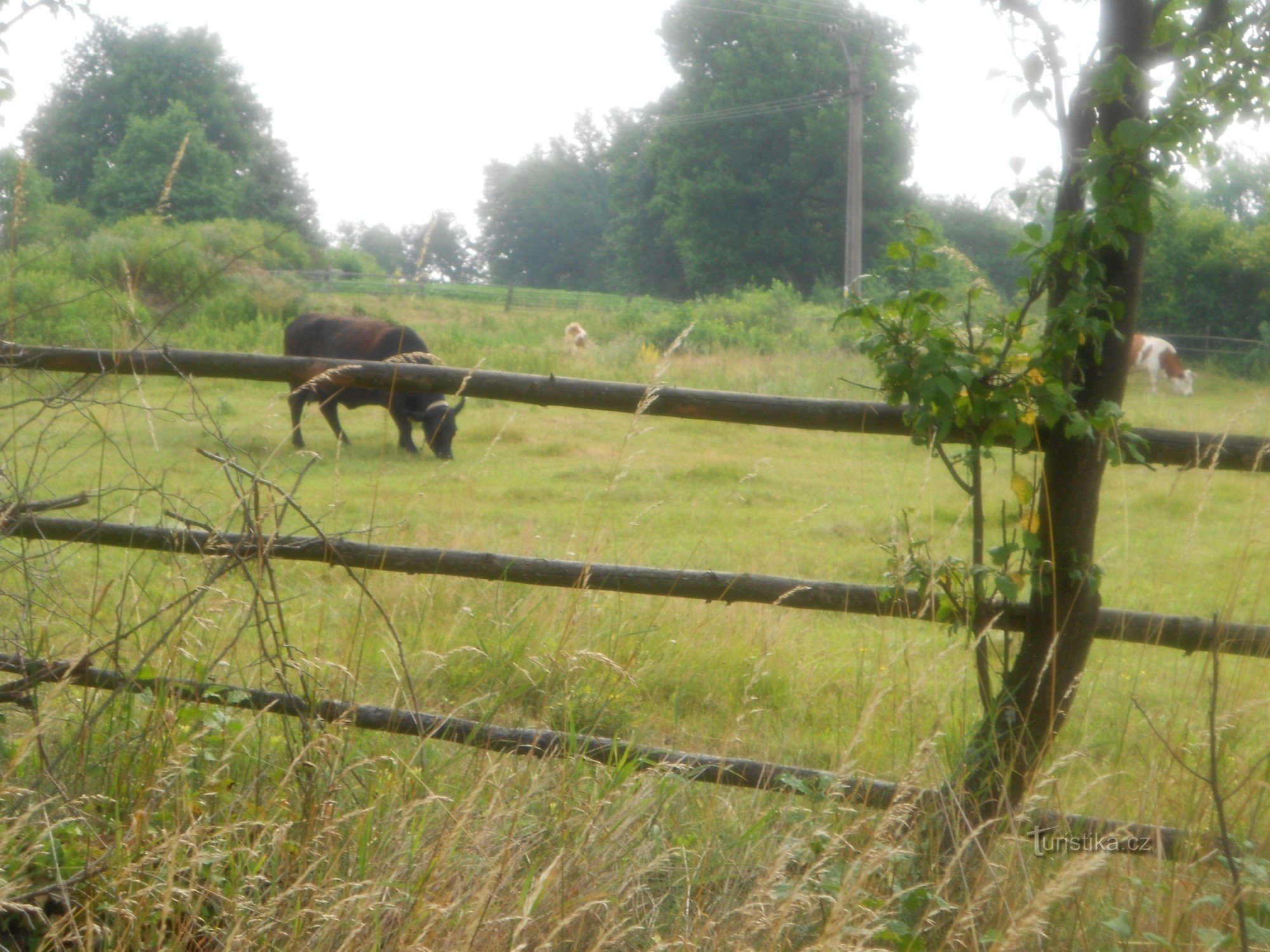 Genreafbeelding door Bratronic