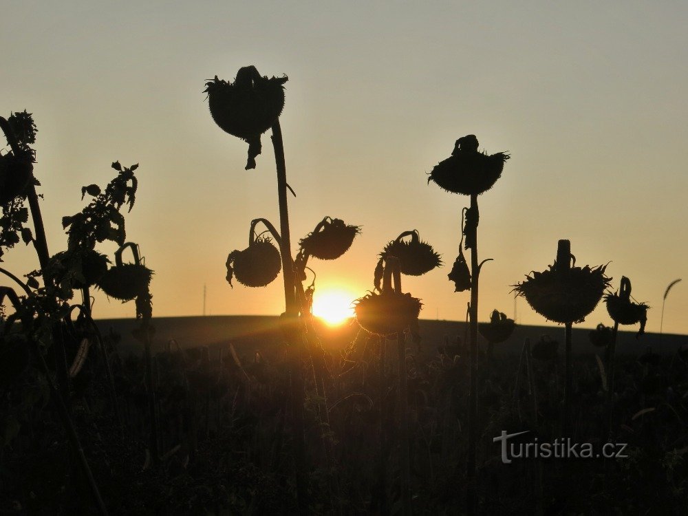 coucher de soleil entre Euh. Brod et Nivnica