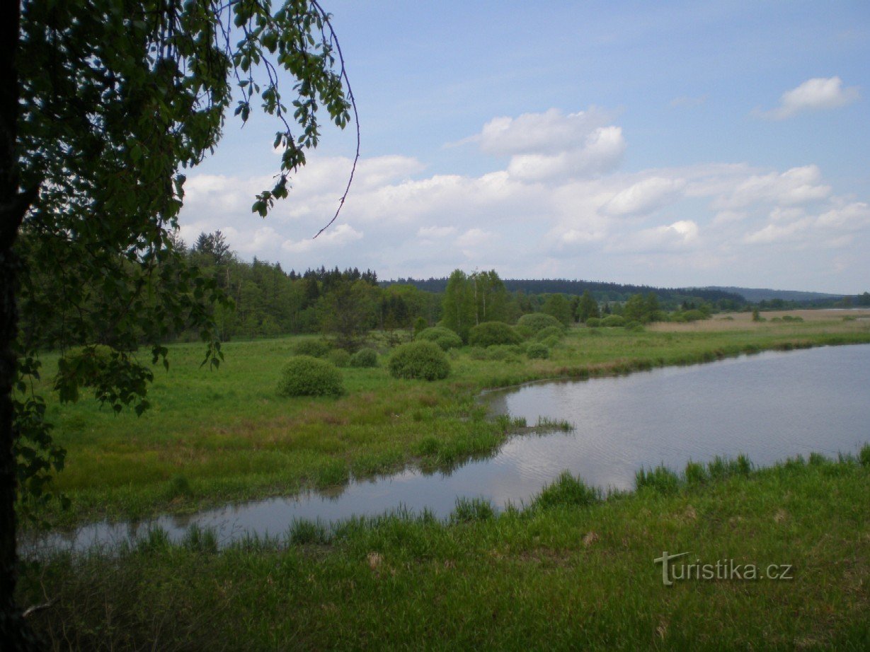 Den västra stranden av Dolejší rybník