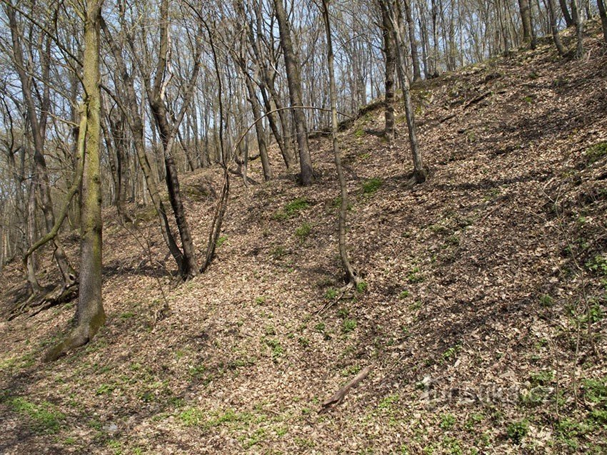 Der Westhang sicherte einen Teil der Wallburg