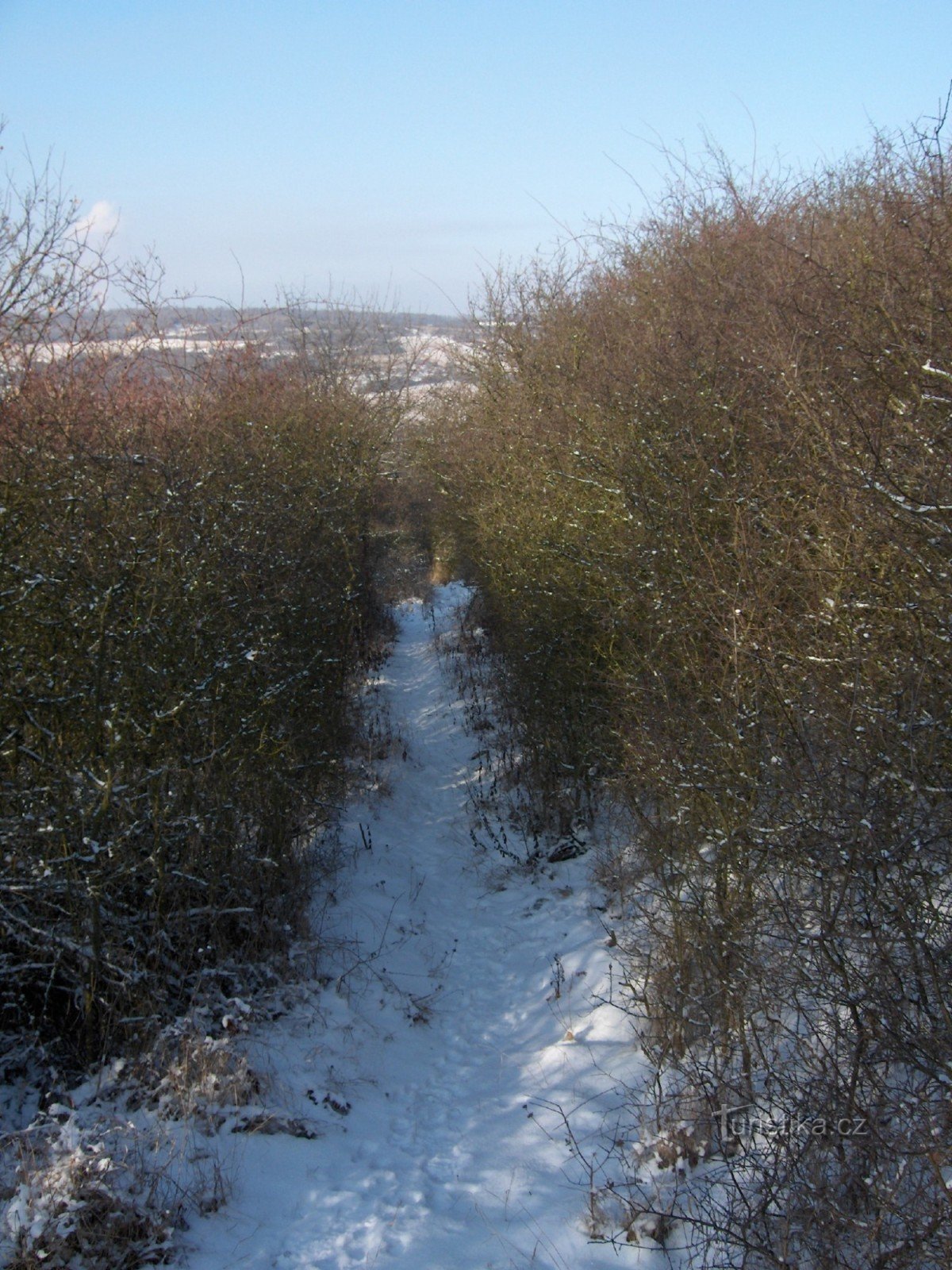 overwoekerde weg