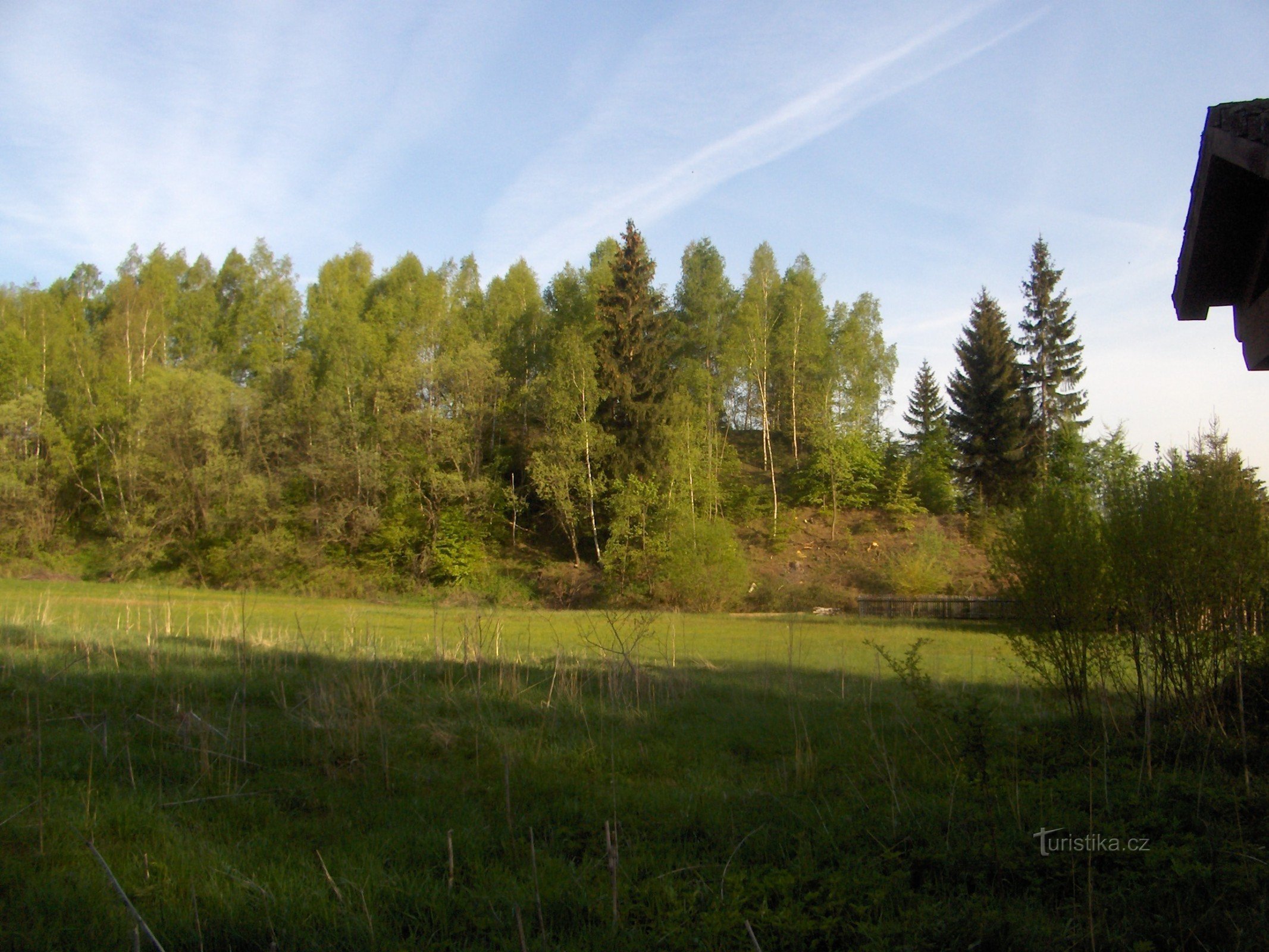 umpeen kasvanut kasa kivihiilen louhinnan jälkeen