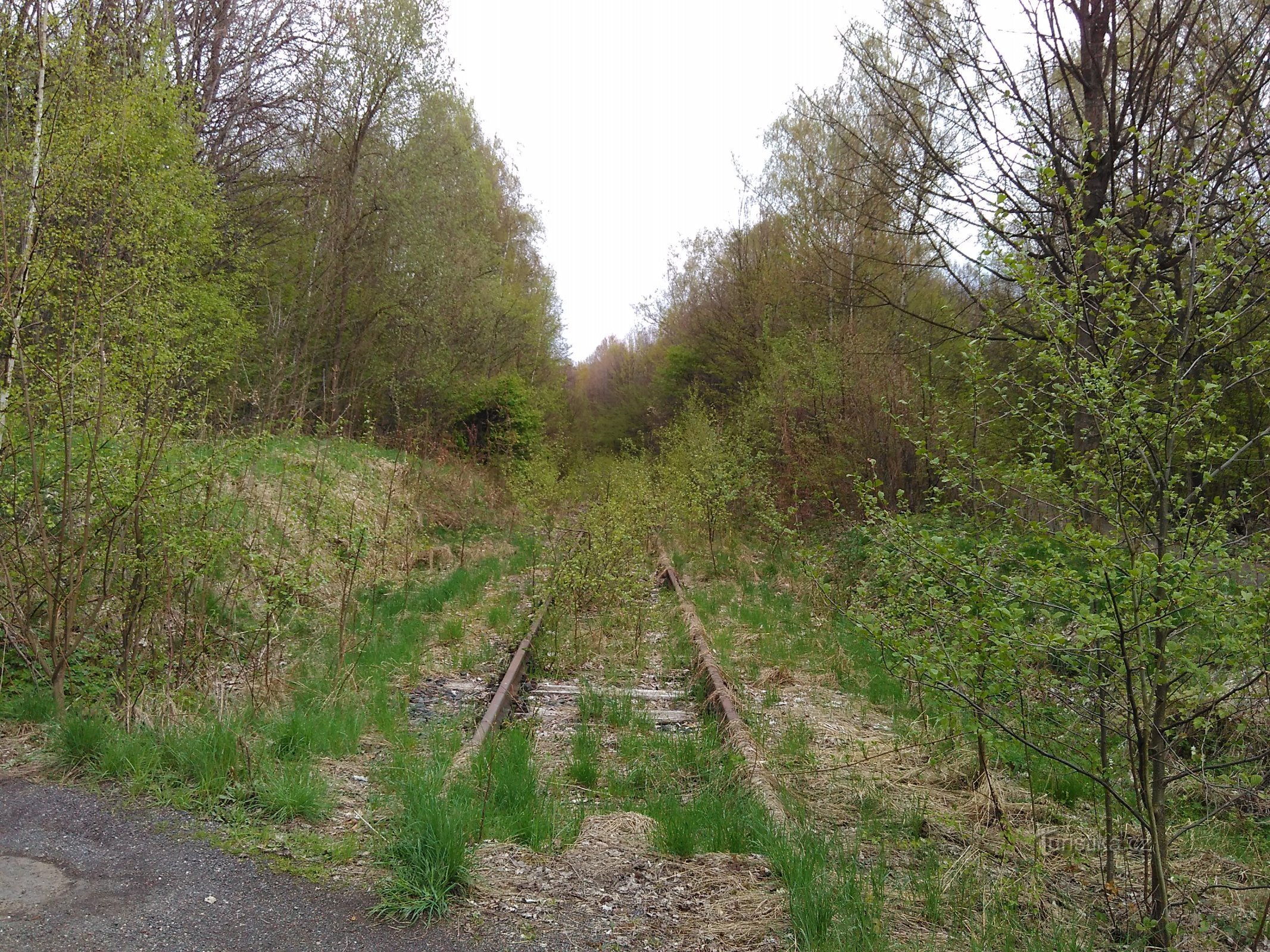 trilha coberta de mato - direção Děčín