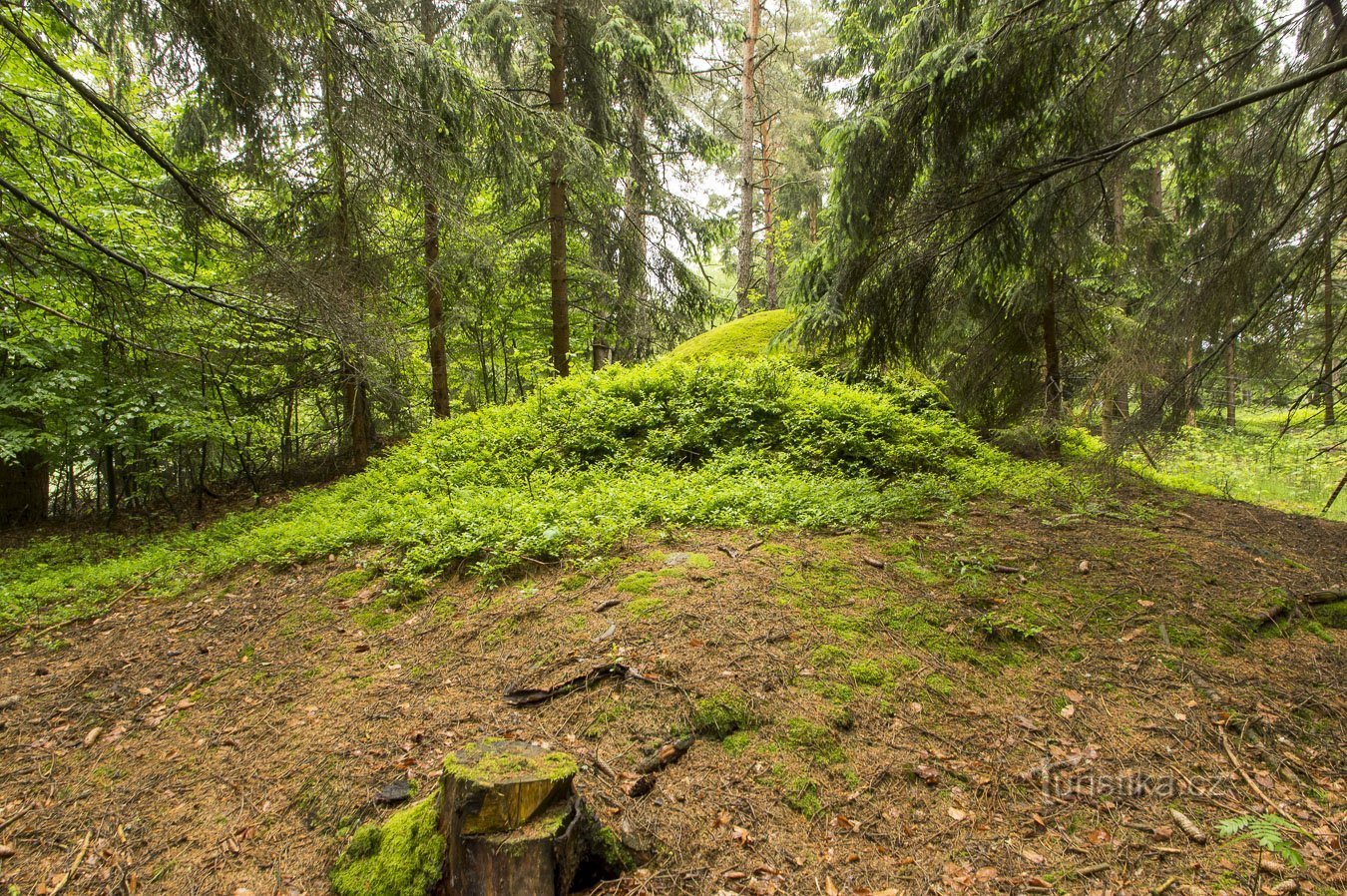 Überwucherte Felsbrocken rund um die Straße