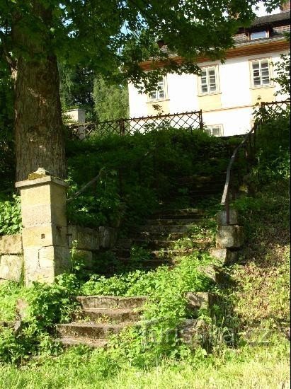 escaleras cubiertas de maleza al castillo