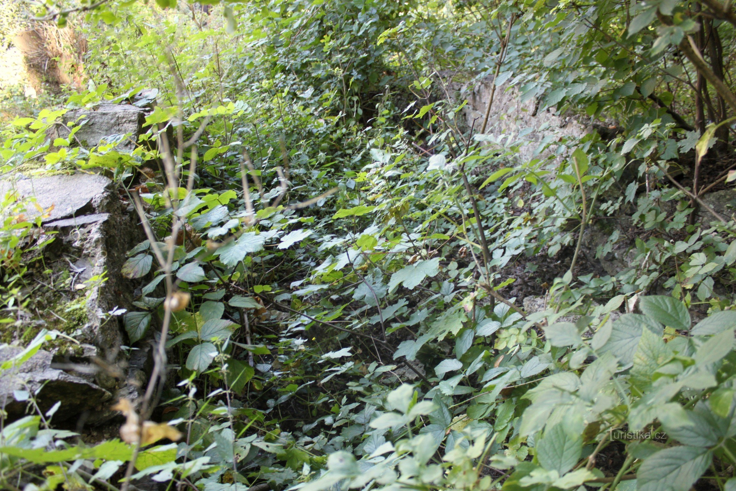 Une allée de moulin envahie menant du moulin de Preiss à l'ancien moulin d'Aspen