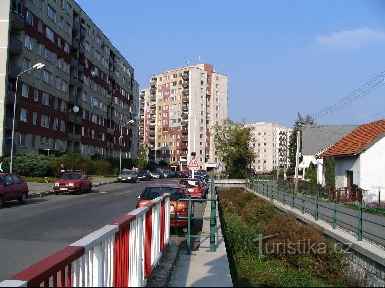 Zarośnięty potok Grasmanka w Loučka