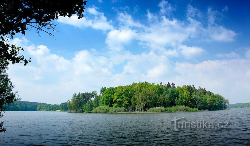 Žárský rybník (Sohorsteich) - Остров