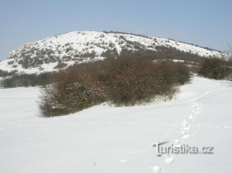 снежная столовая гора