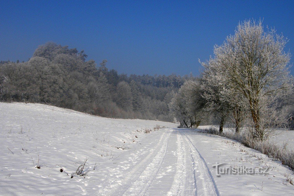 Ein verschneites Tal vor dem Dorf Hředle