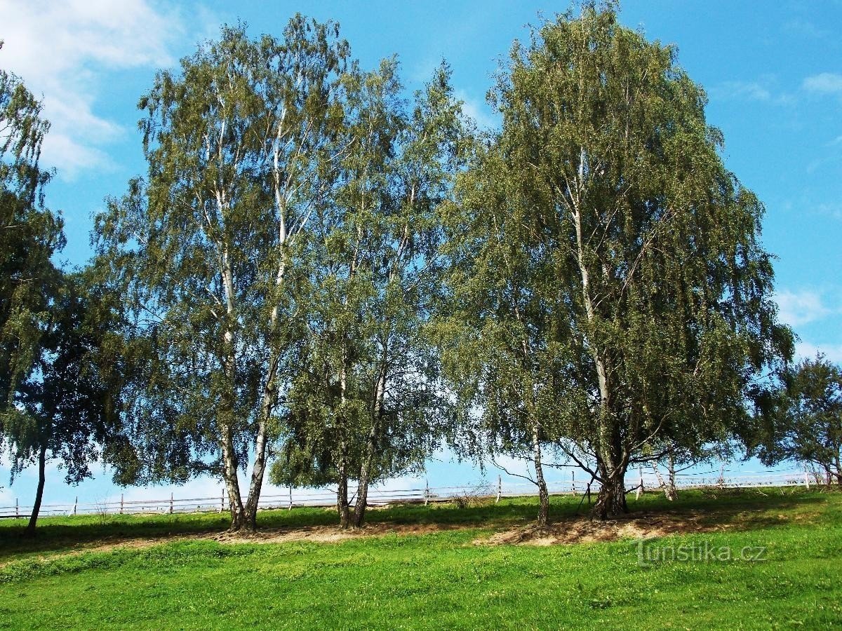 Zastavení na zámku Nové Hrady