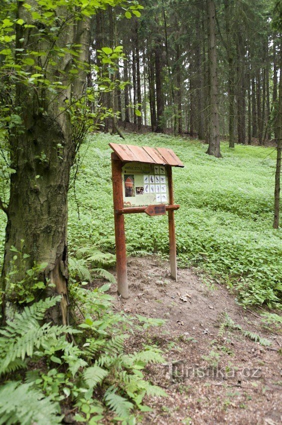 Haltestelle des Lehrpfades Nr. 4 am Brunnen