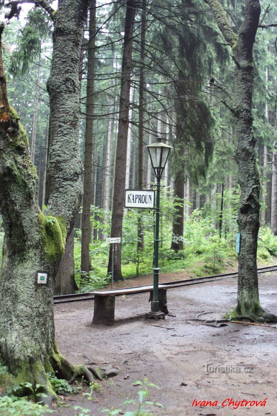 Kaproun halt