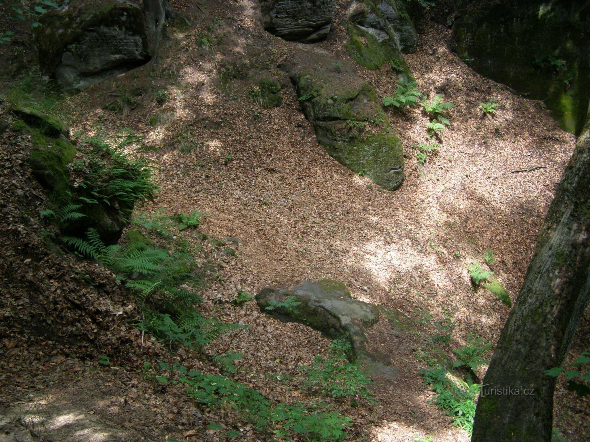 buried well from the entrance to the corridor