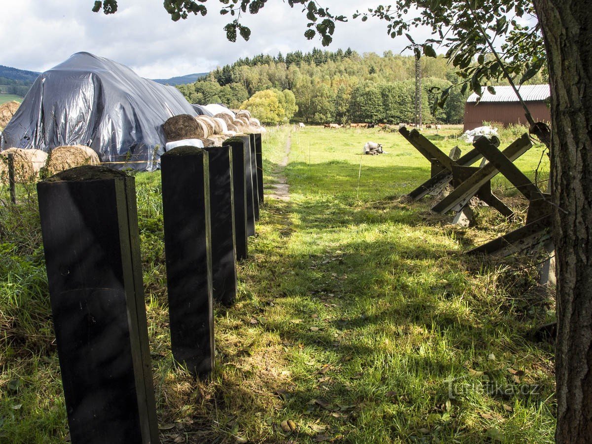 Blocchi stradali sulla strada per il bunker