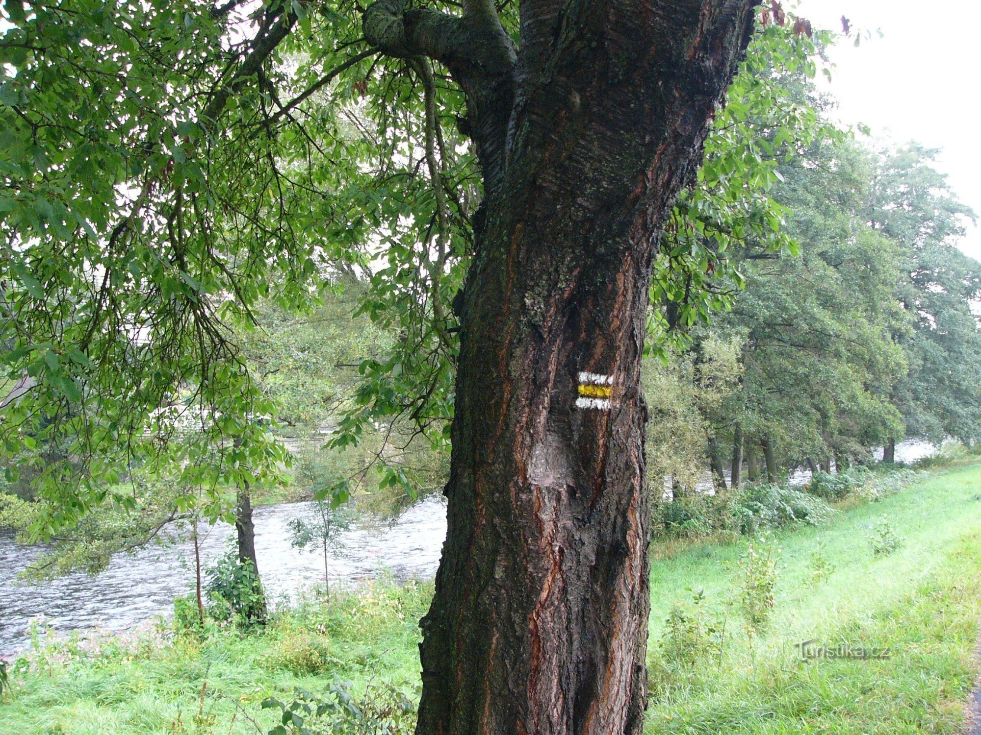 Jusqu'ici après le jaune