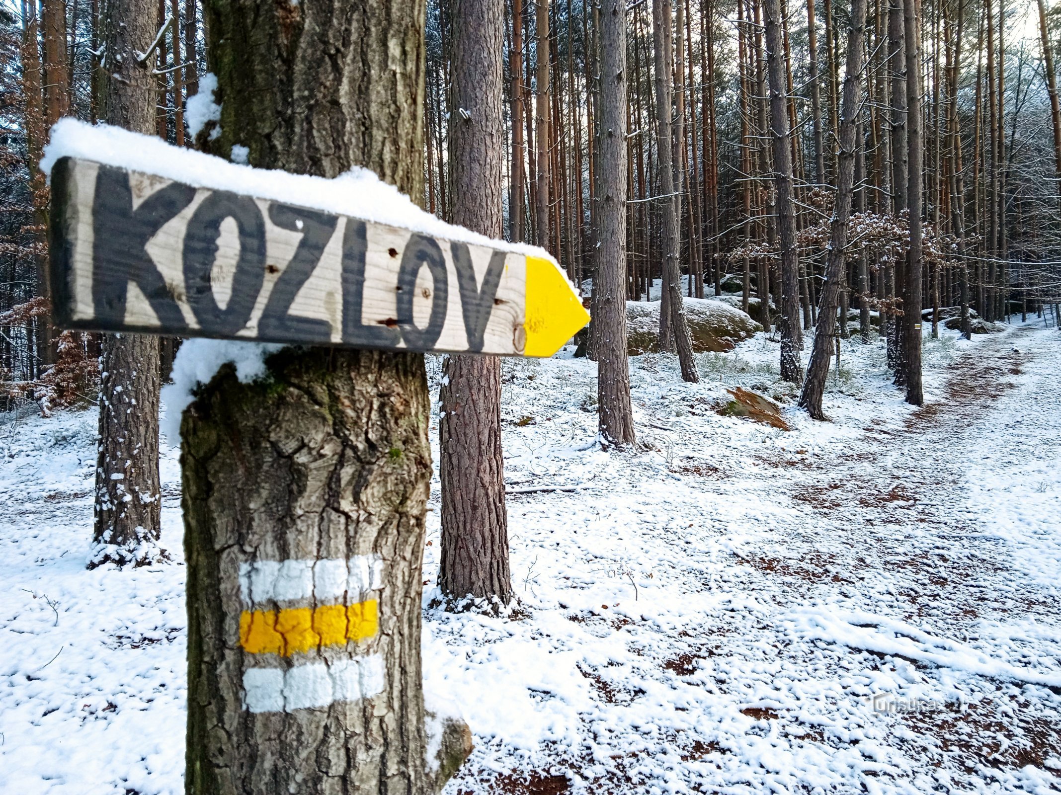 现在我们正沿着黄色标记前进，从这里开始攀登科兹洛夫遗址