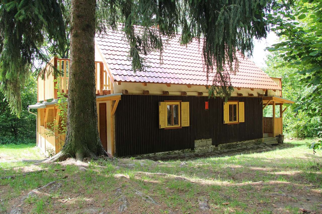 Zátiší se statným smrkem