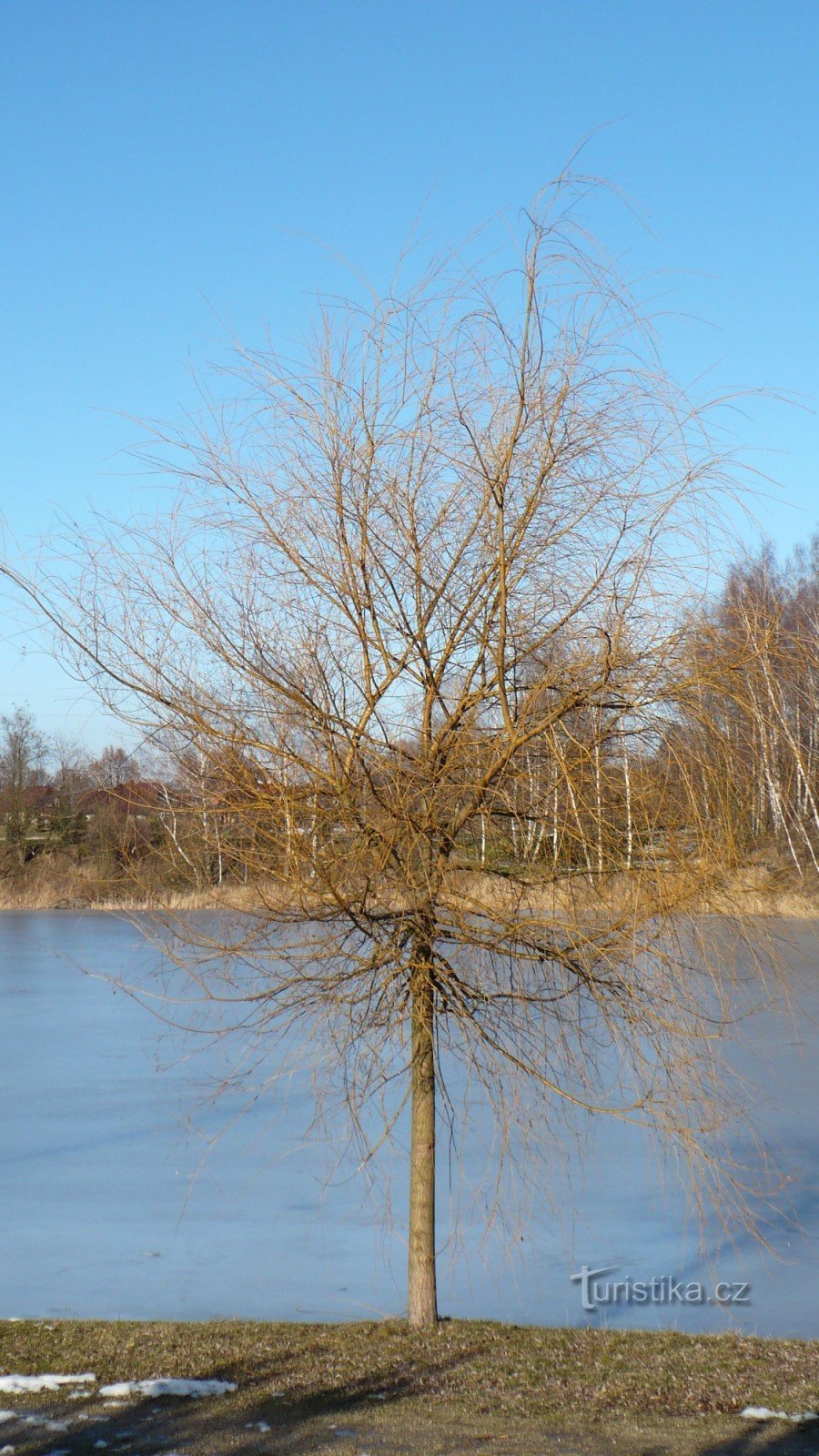 Flooded pit near Sokolov