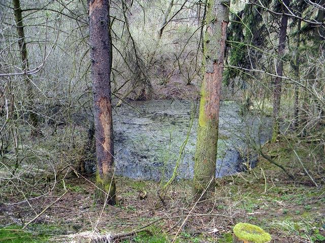 zatopený důl Škroby