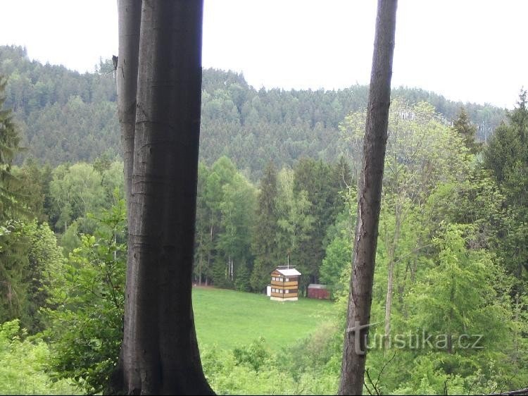 Hintergrund der Langläufer