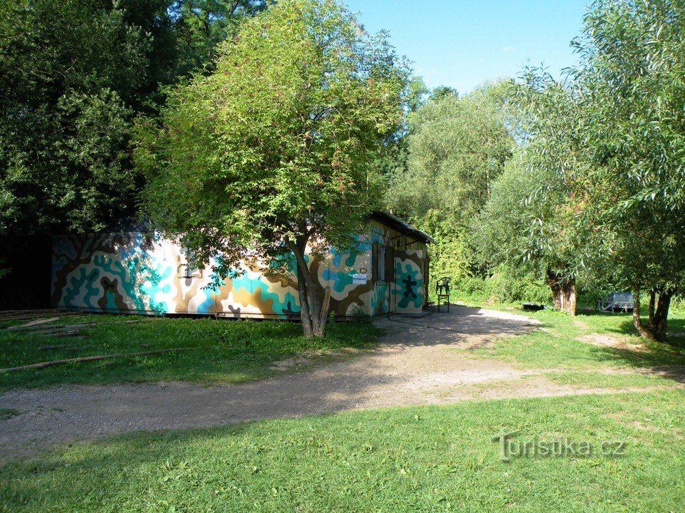 Sfondo campo scout