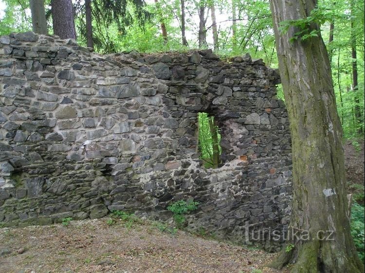 Zbořený Kostelec-zbytky paláce