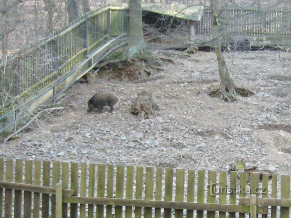 Zoo de la forêt de Zbraslav et château de Zbraslav