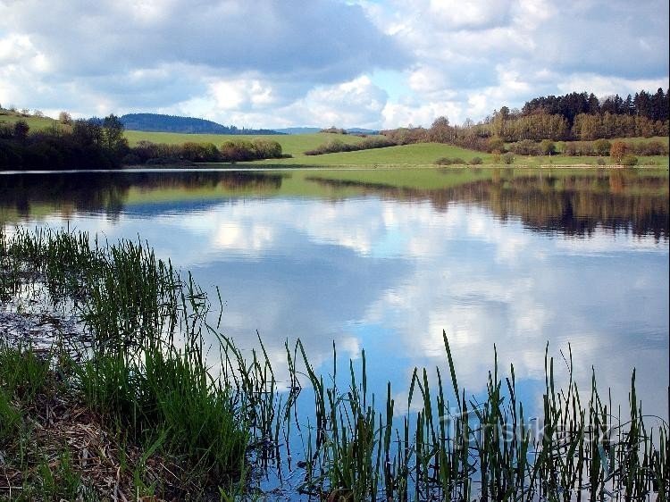 Zbynické ponds: Velká Strana