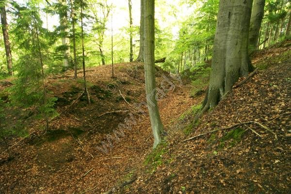 Zbyny, Zbiny, Zbinsko, Zbynsko