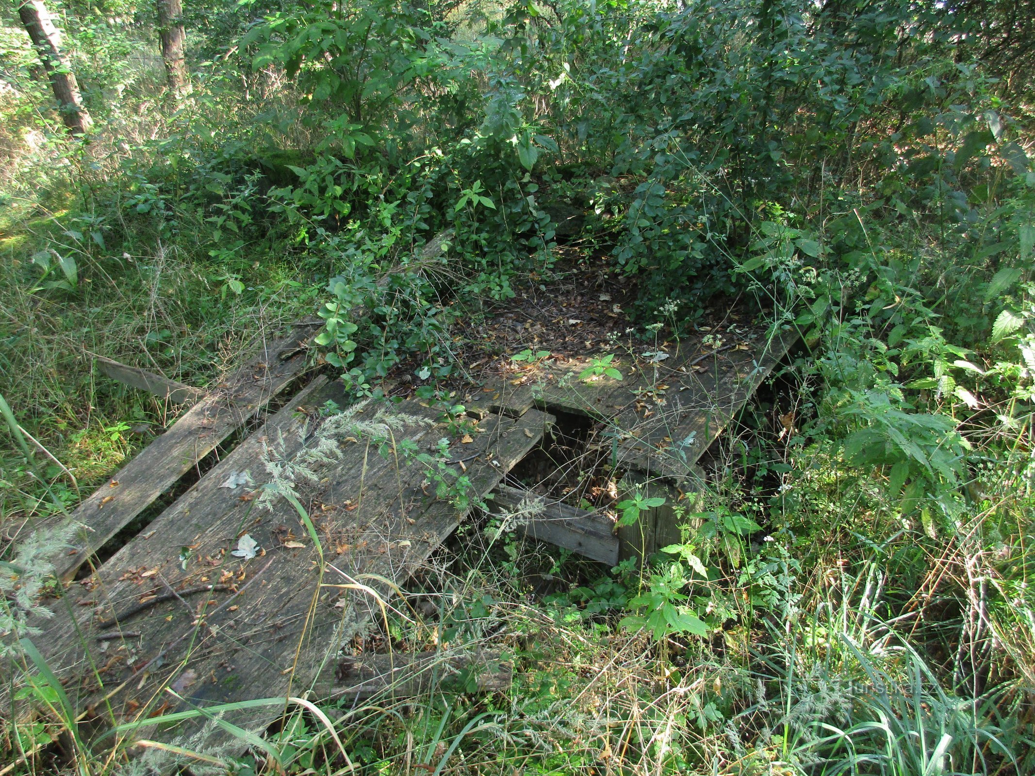 der Rest der Holzbühne