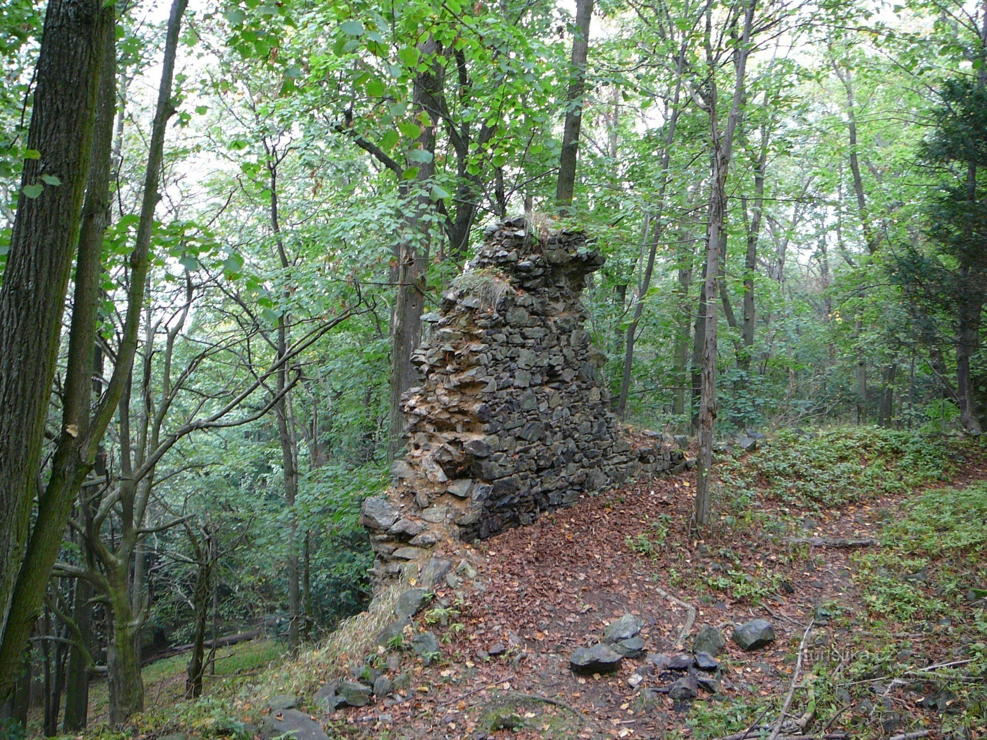 A fal többi része