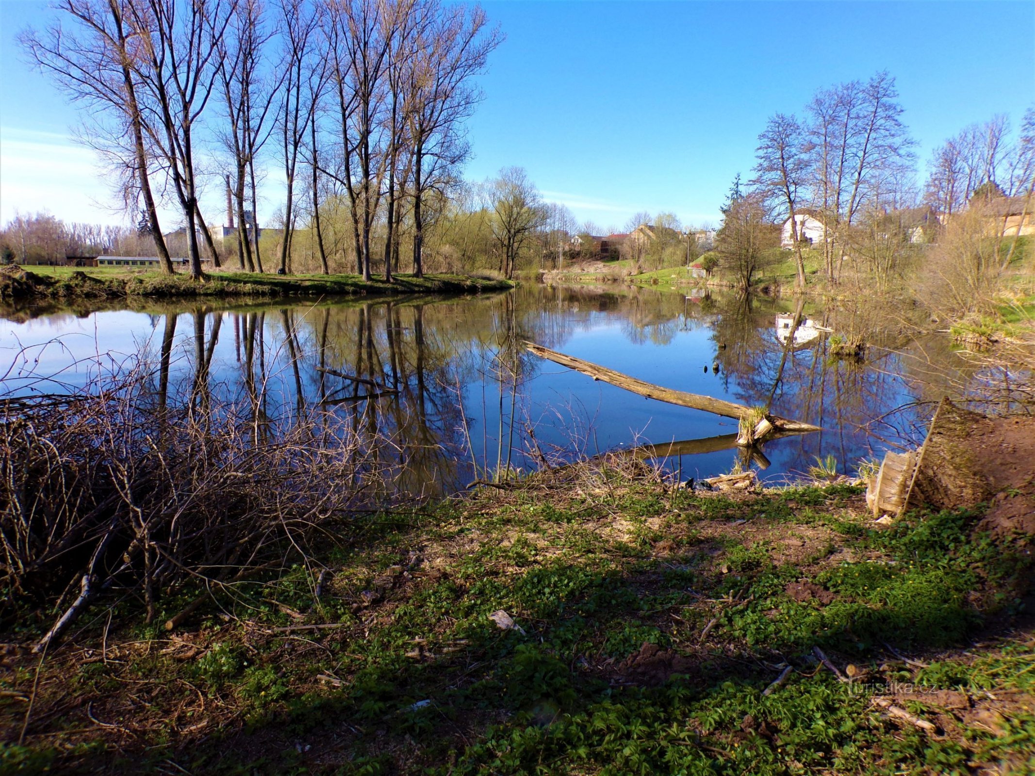 Resten av Elbe-kröken nedanför Přelov (Černožice, 26.4.2021-XNUMX-XNUMX)