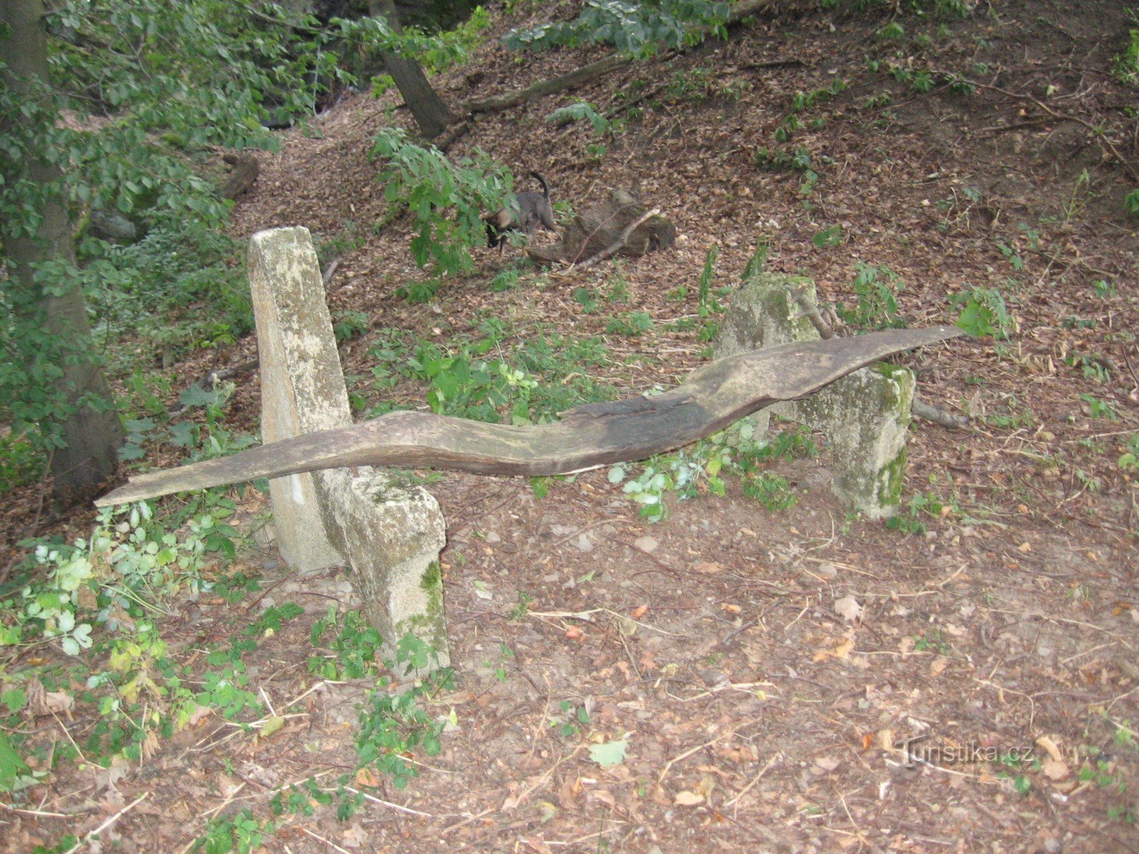 The rest of the bench on Borské vrch