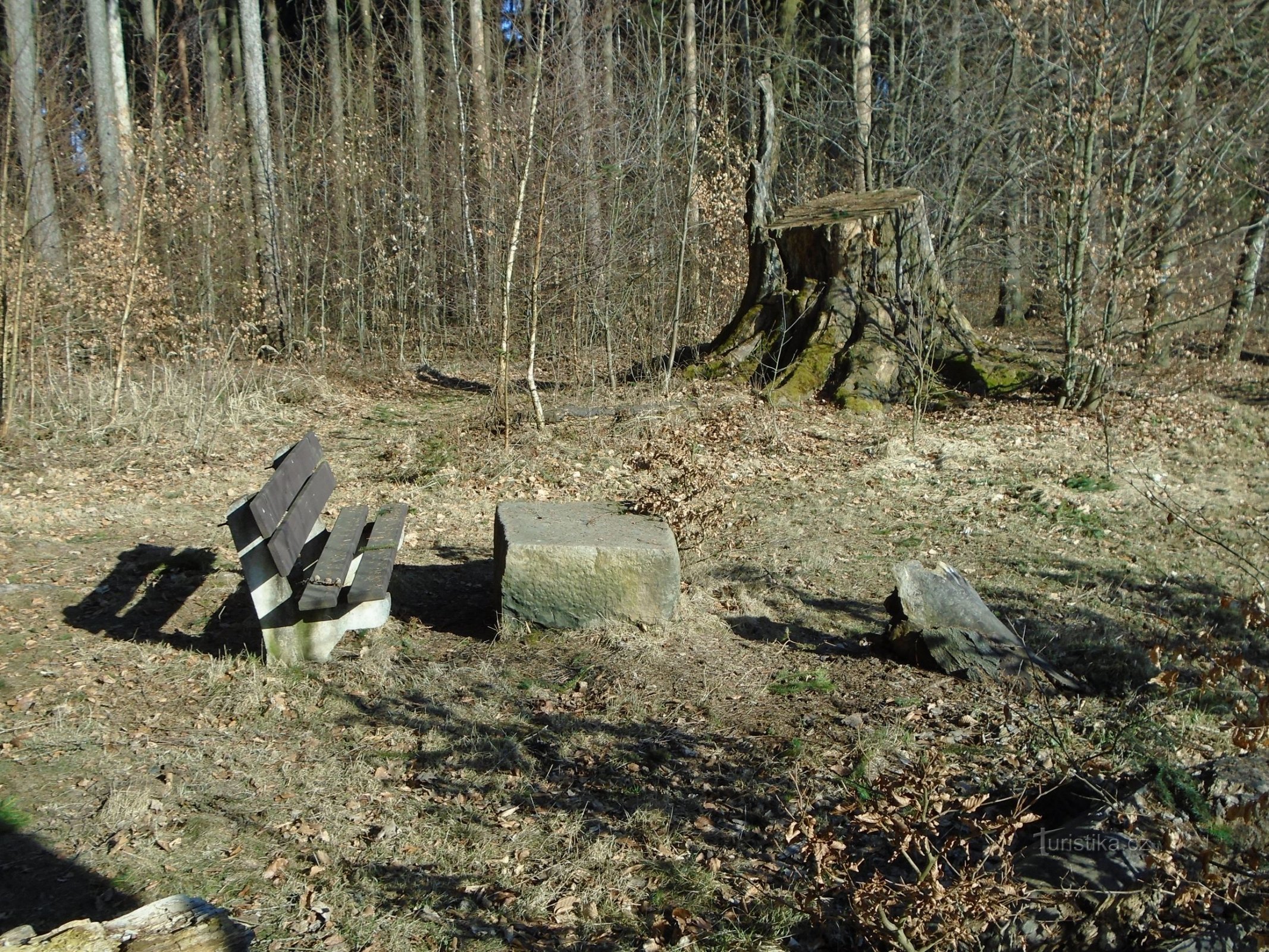 Reszta po buku Špetla (Slatina nad Úpou, 21.3.2018)