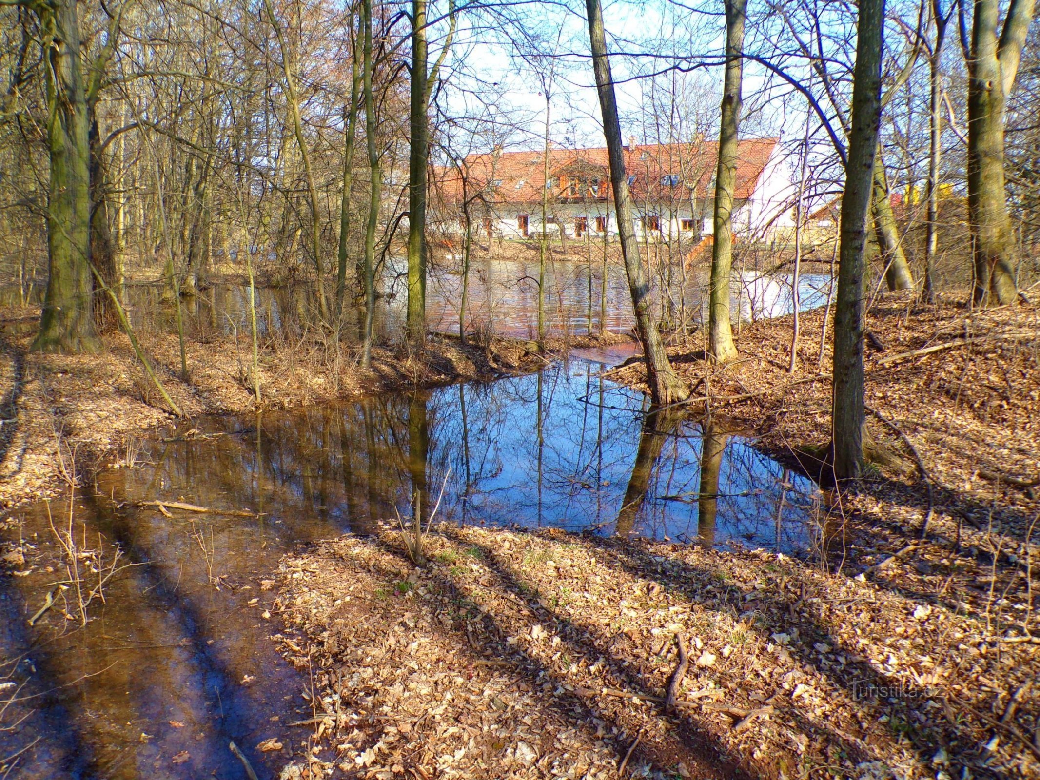 Tàn tích của Dotřel's Grove và Ornst's Lake (Hradec Králové, 19.3.2022/XNUMX/XNUMX)