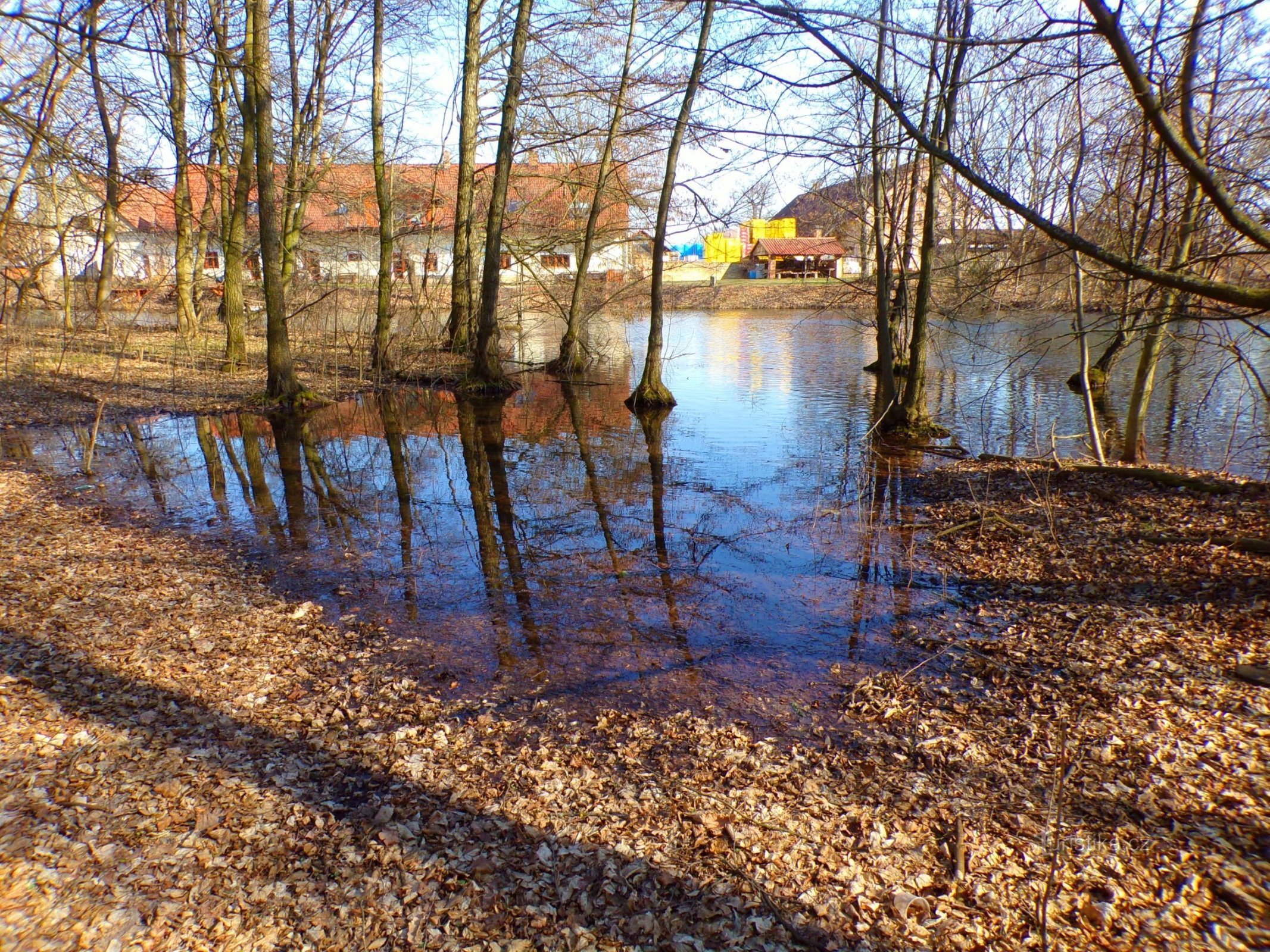 Überreste des Dotřel-Hains und des Ornst-Sees (Hradec Králové, 19.3.2022)