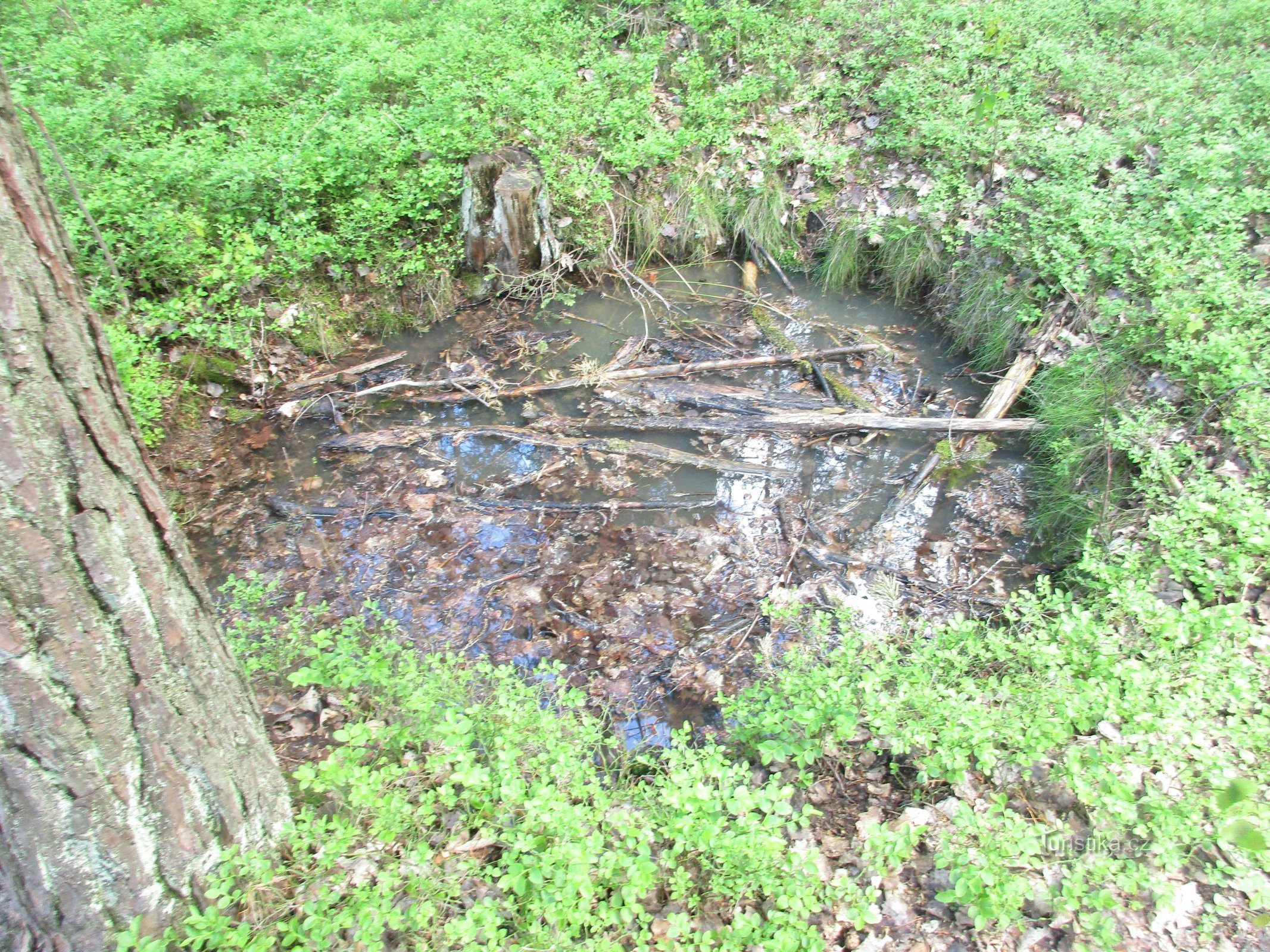 vestiges de l'activité minière