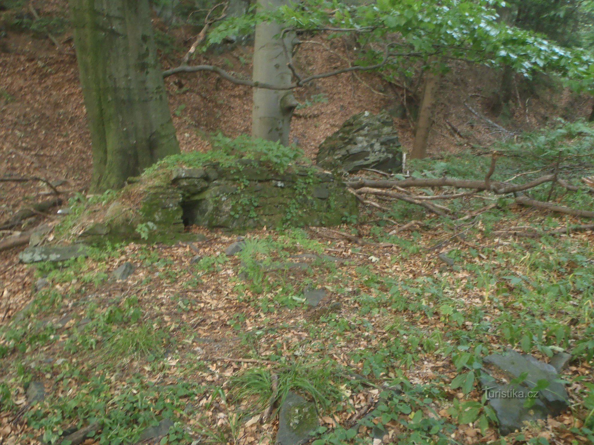 Remains of the castle 1