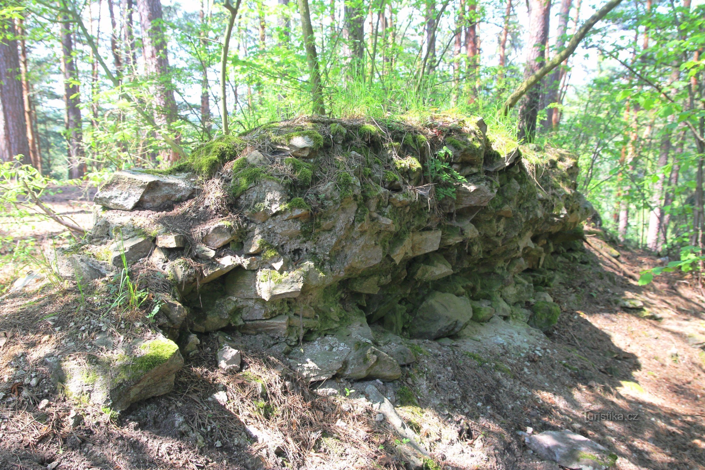 Rămășițele unui zid de piatră