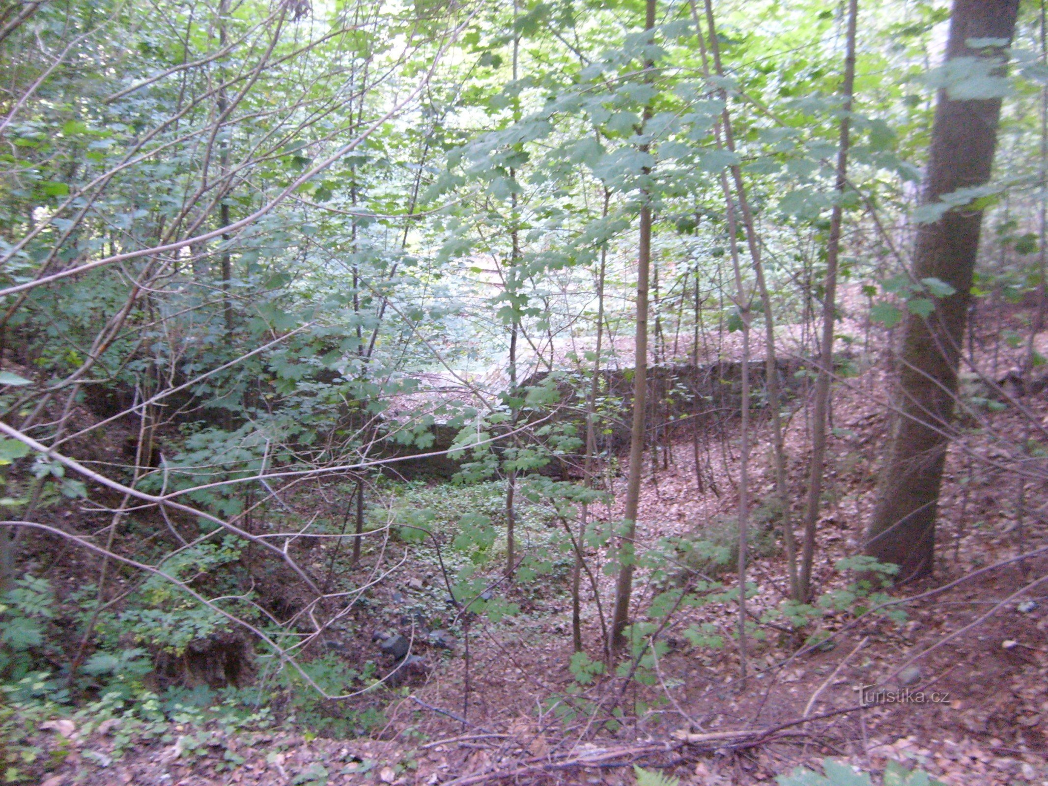 The remains of a stone building near Dvor Králové