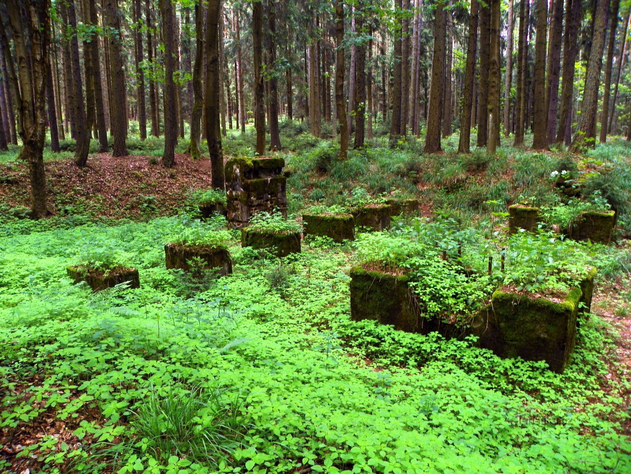 The remains of a steam saw at Hamrů