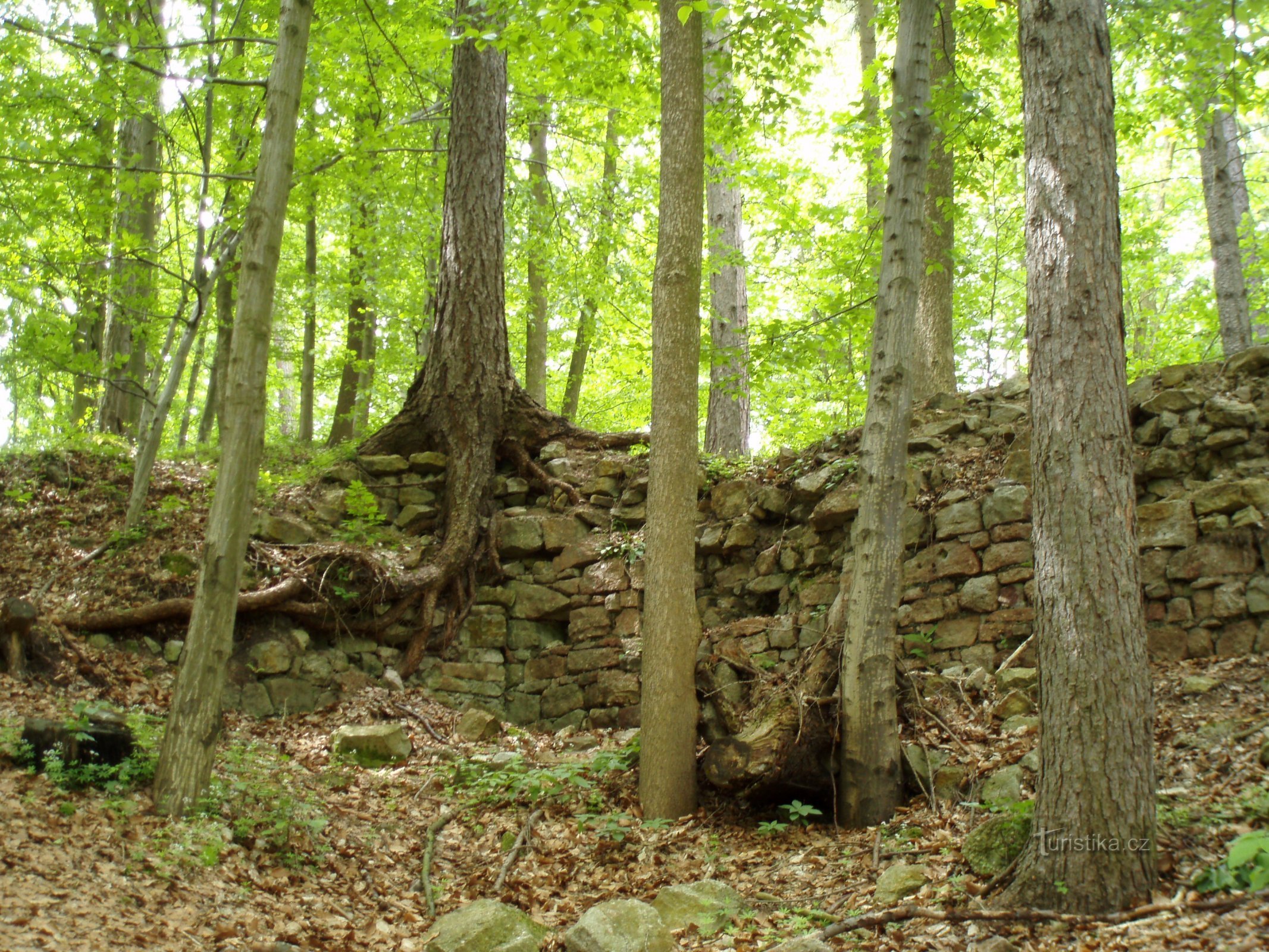 Vestiges des remparts et murs du château de Červená Hora (Červená Hora)