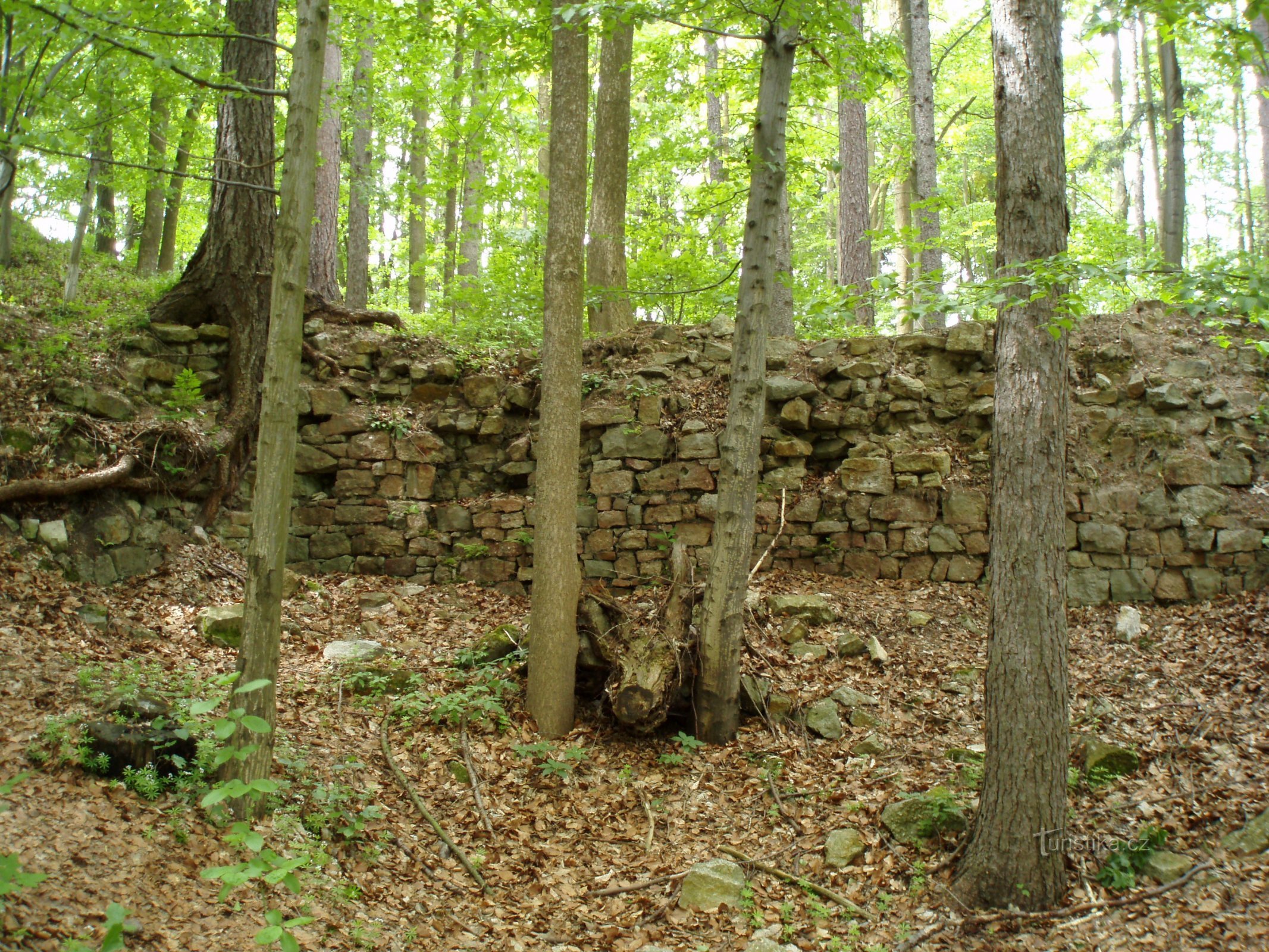 Rester af volde og mure af Červená Hora (Červená Hora) slot