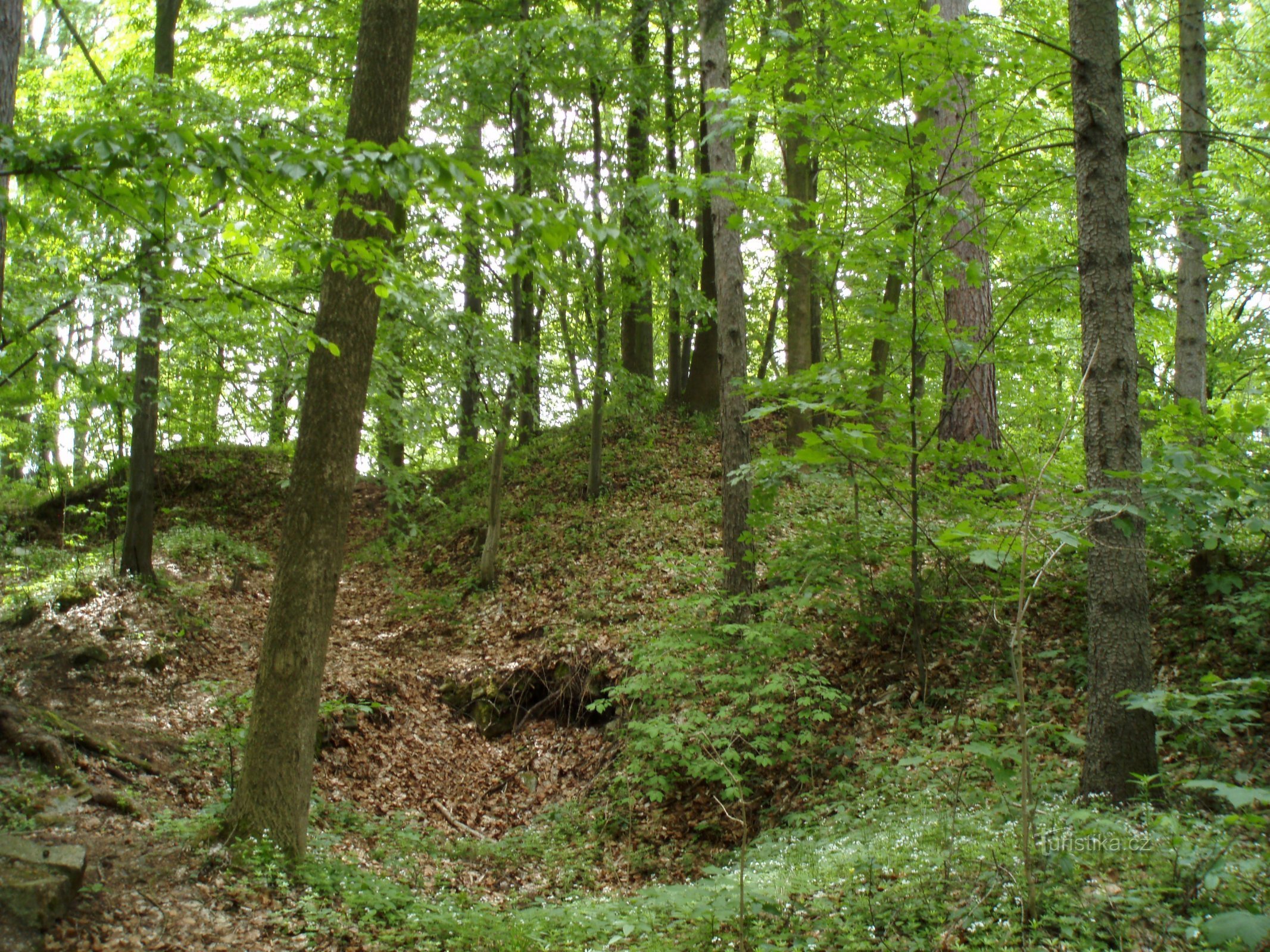 Reste der Wälle und Mauern der Burg Červená Hora (Červená Hora).