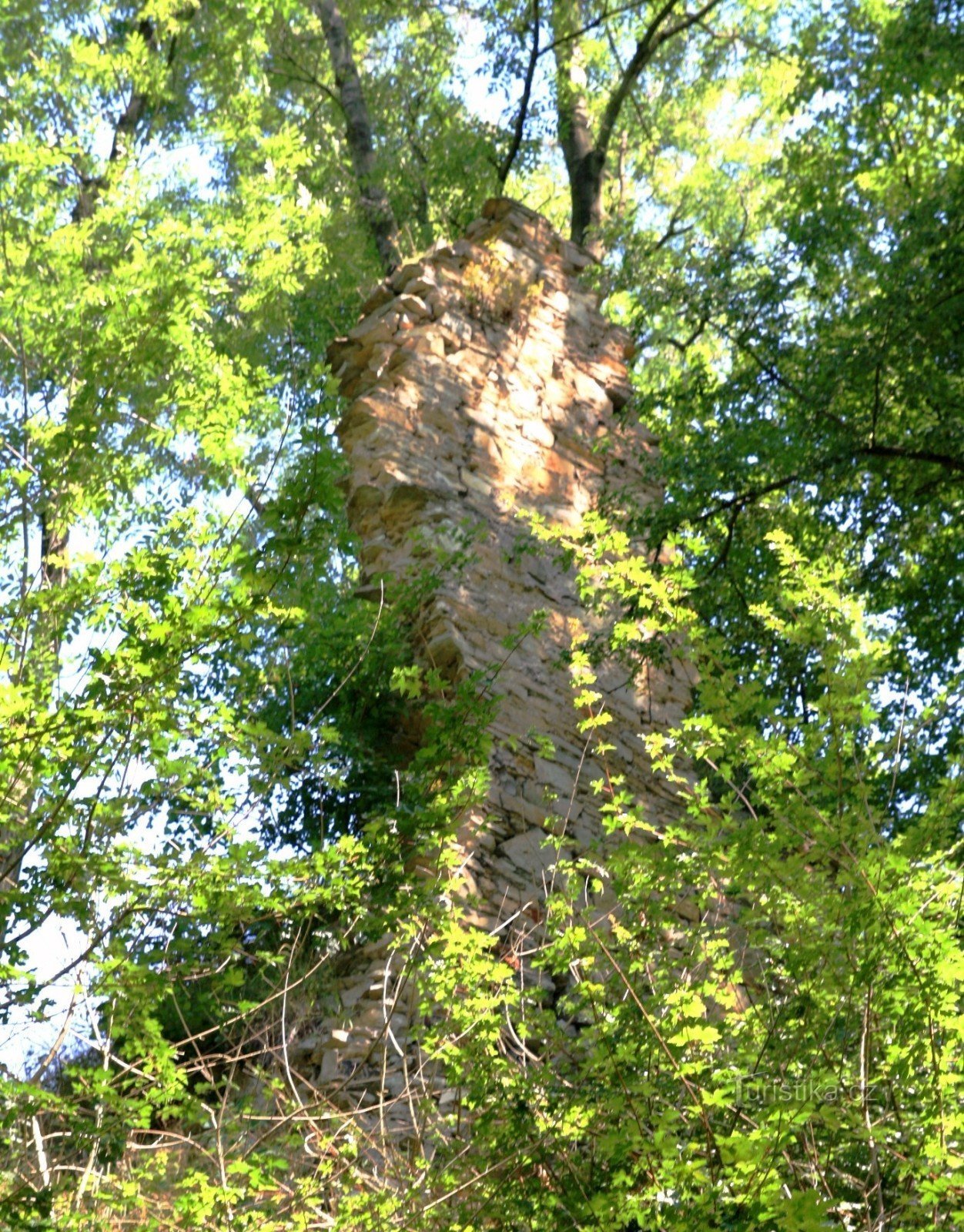 Die Überreste des Mauerwerks der Burg