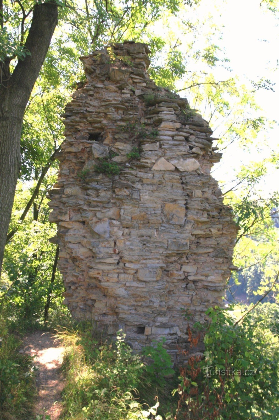 Die Überreste des Mauerwerks der Burg